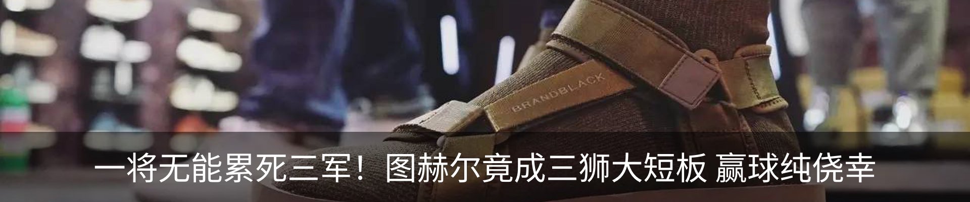 新闻动态
