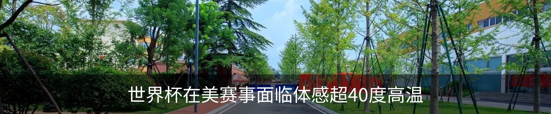 新闻动态