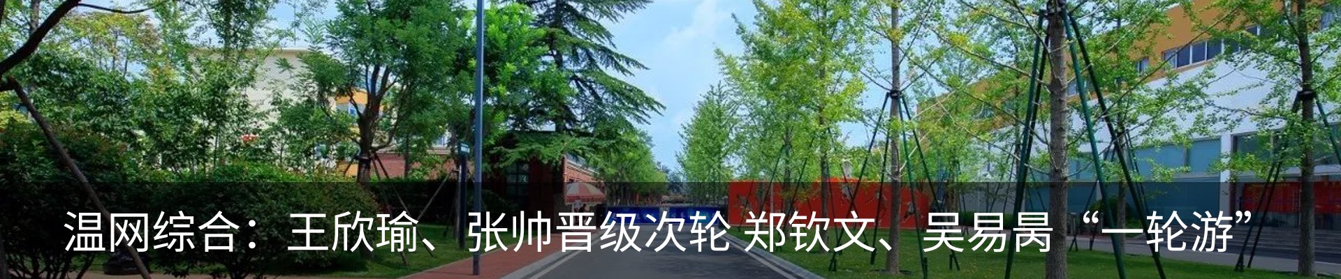 新闻动态