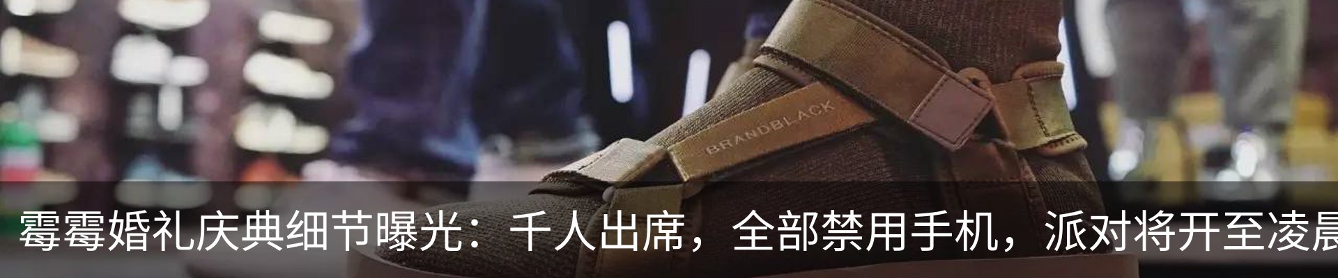 新闻动态